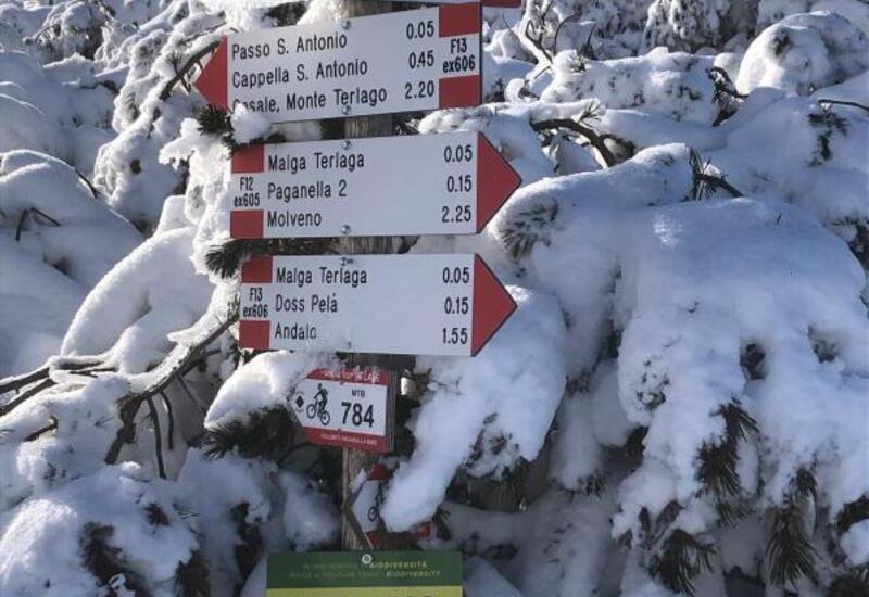 Andalo - Festival di Sciare 25° edizione